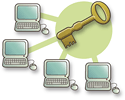 Network licence
