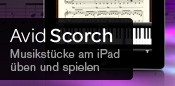 Avid Scorch