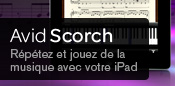 Avid Scorch