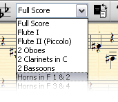 Instrumental parts