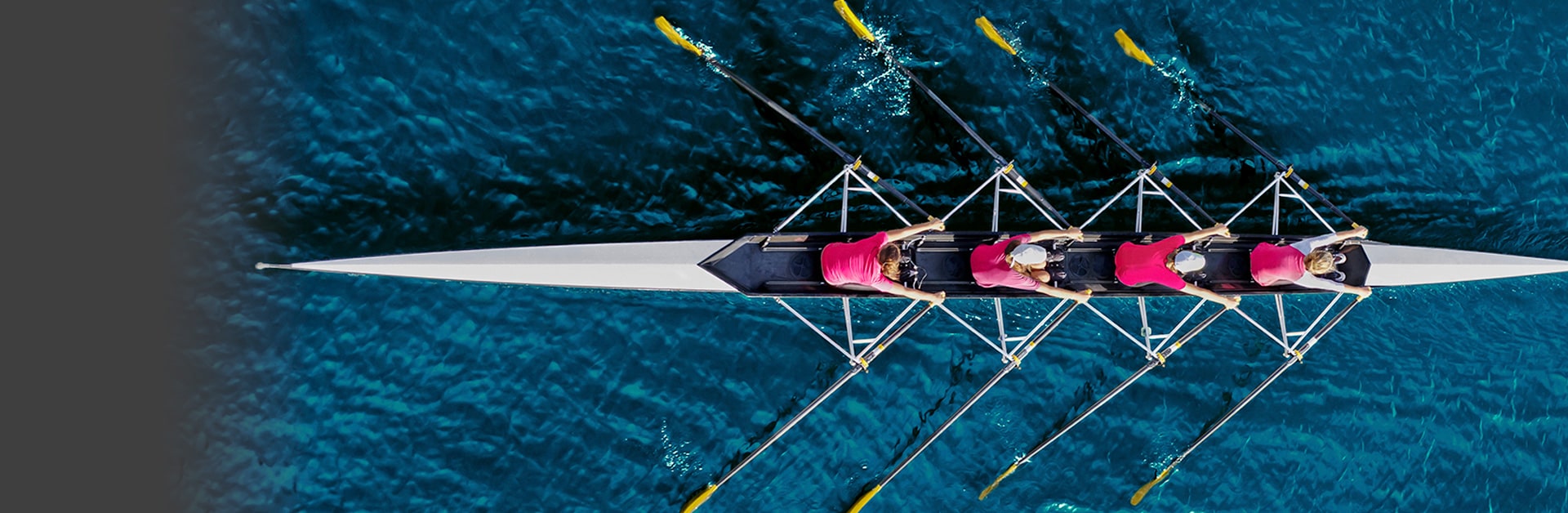 Sibelius the leading music composition and notation software